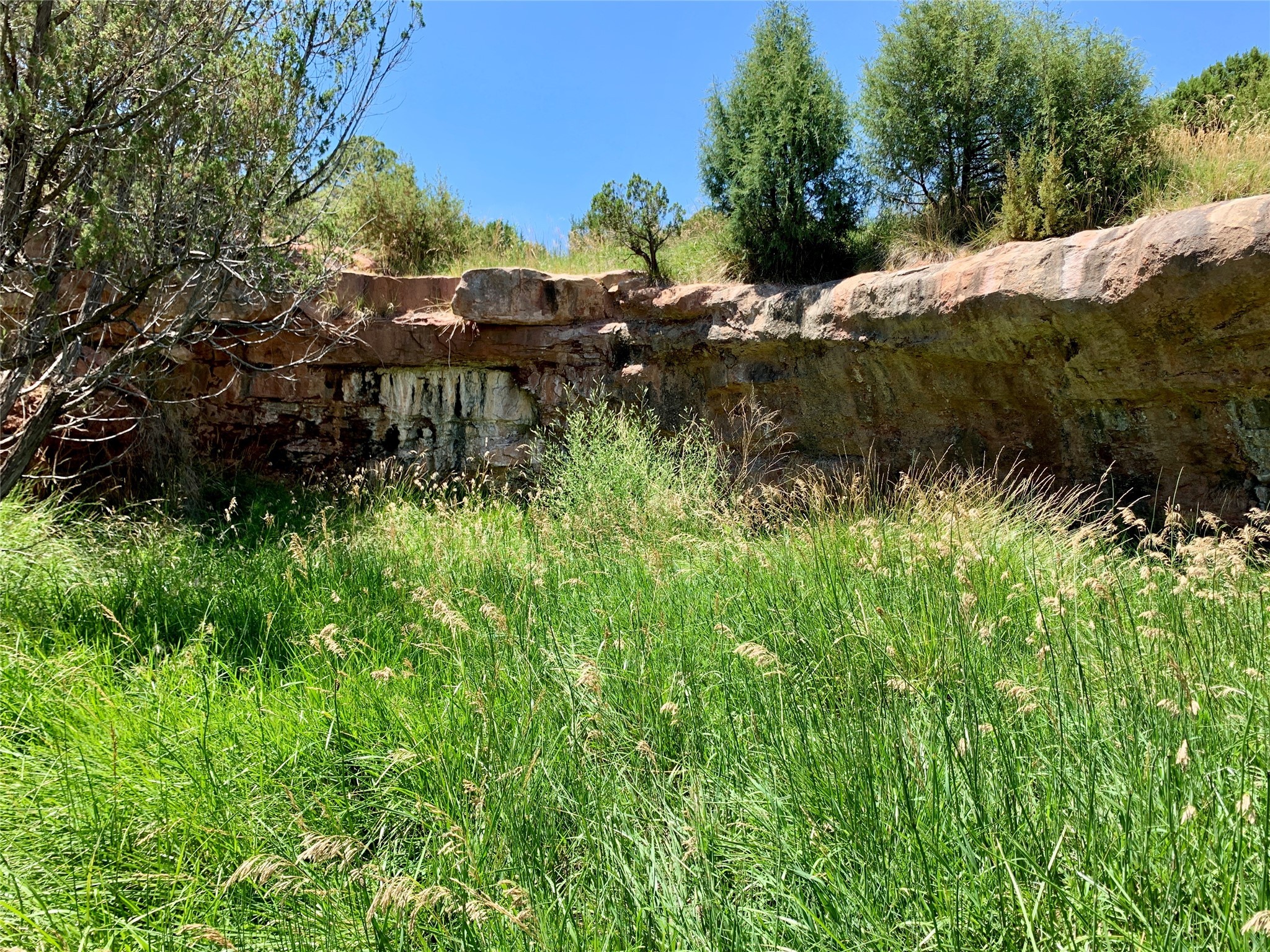 Mesa Springs Ranch, Ribera, New Mexico image 44