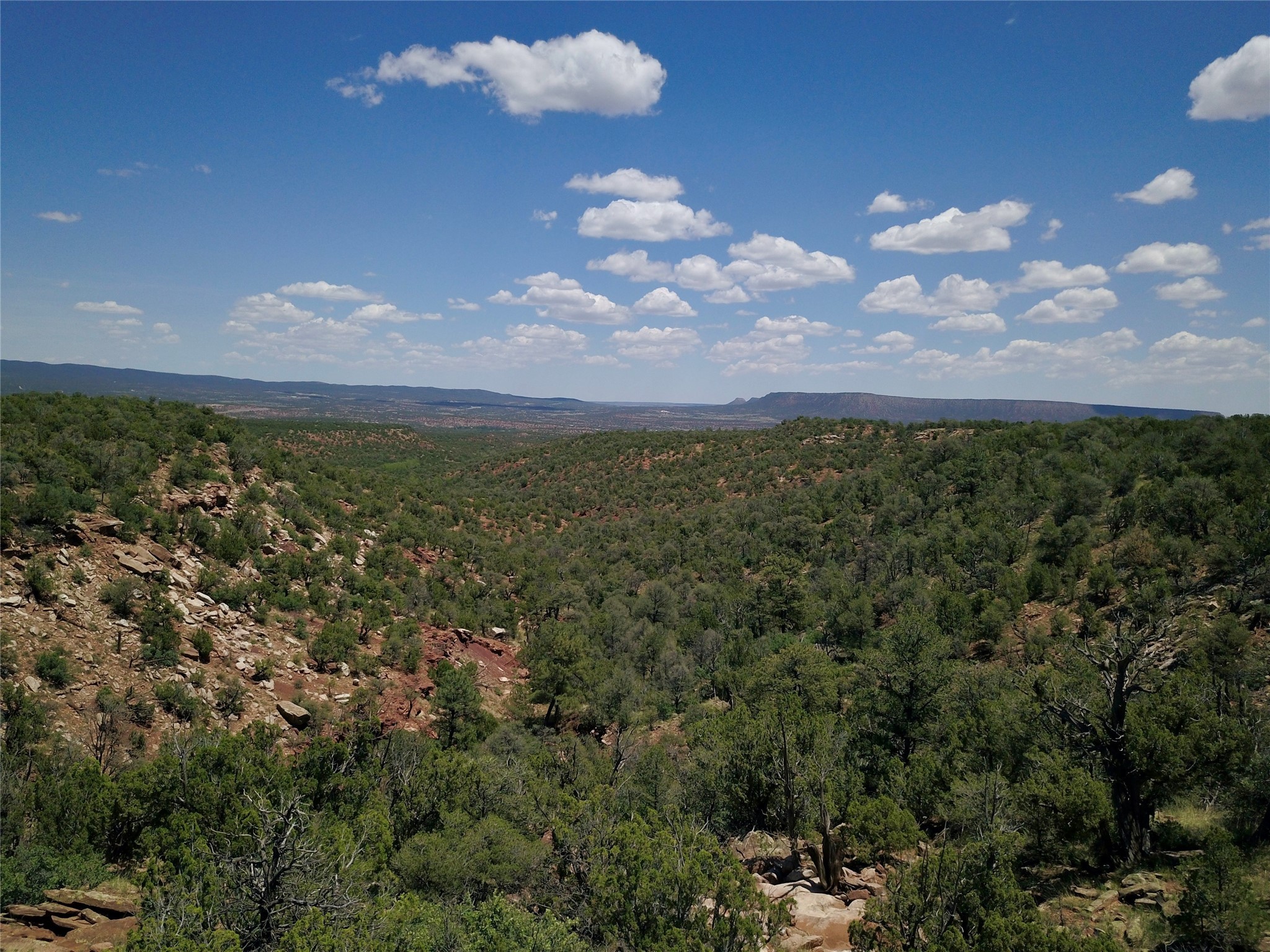 Mesa Springs Ranch, Ribera, New Mexico image 38