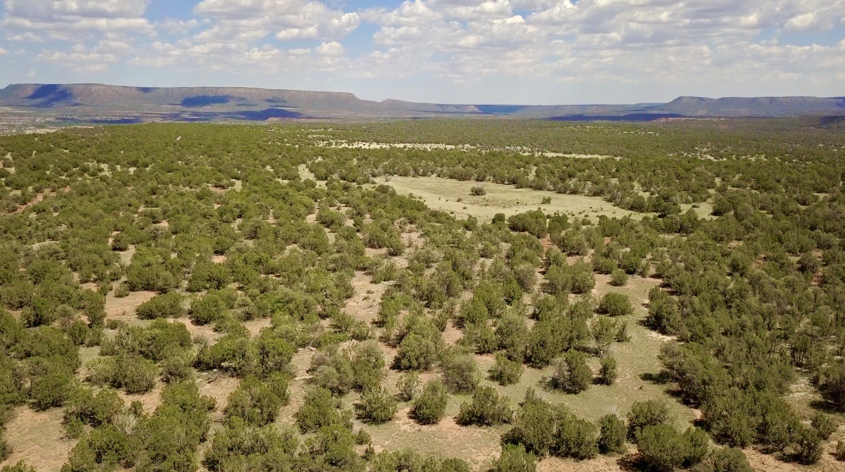 Mesa Springs Ranch, Ribera, New Mexico image 42