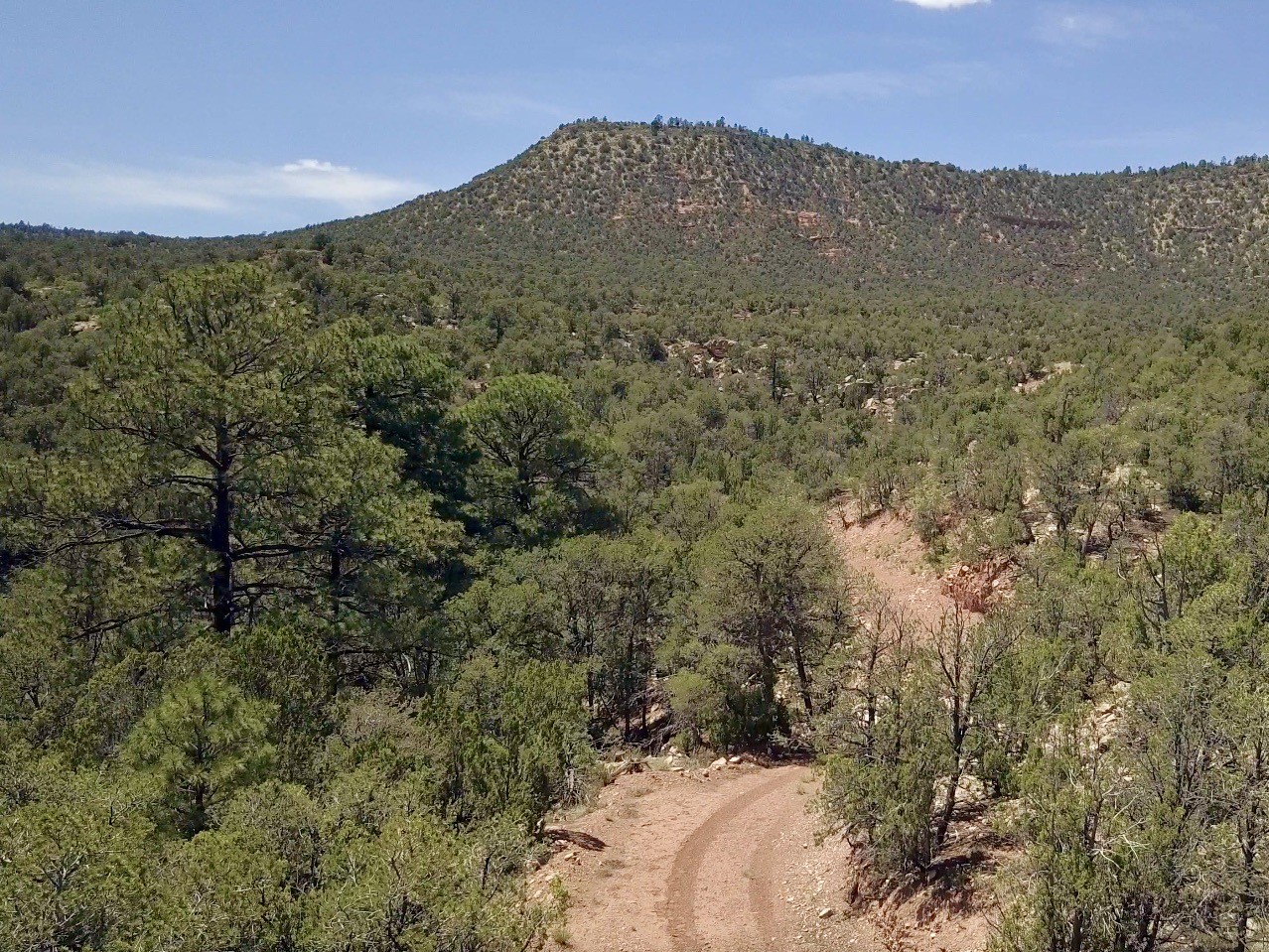 Mesa Springs Ranch, Ribera, New Mexico image 39