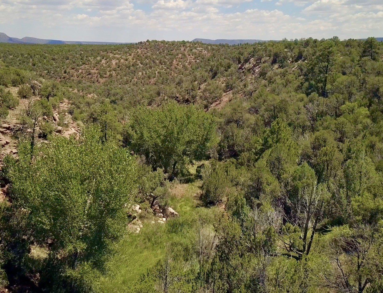 Mesa Springs Ranch, Ribera, New Mexico image 3