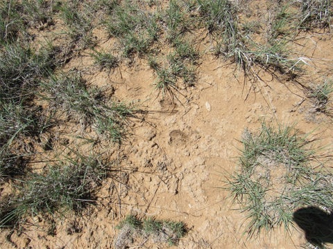 Tiny photo for 48 Rancho Mesita, Santa Fe, NM 87508 (MLS # 202603665)