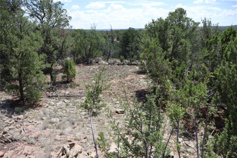 Tiny photo for 48 Rancho Mesita, Santa Fe, NM 87508 (MLS # 202603665)