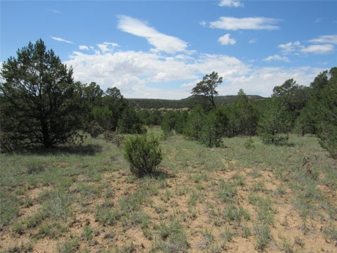 Tiny photo for 48 Rancho Mesita, Santa Fe, NM 87508 (MLS # 202603665)