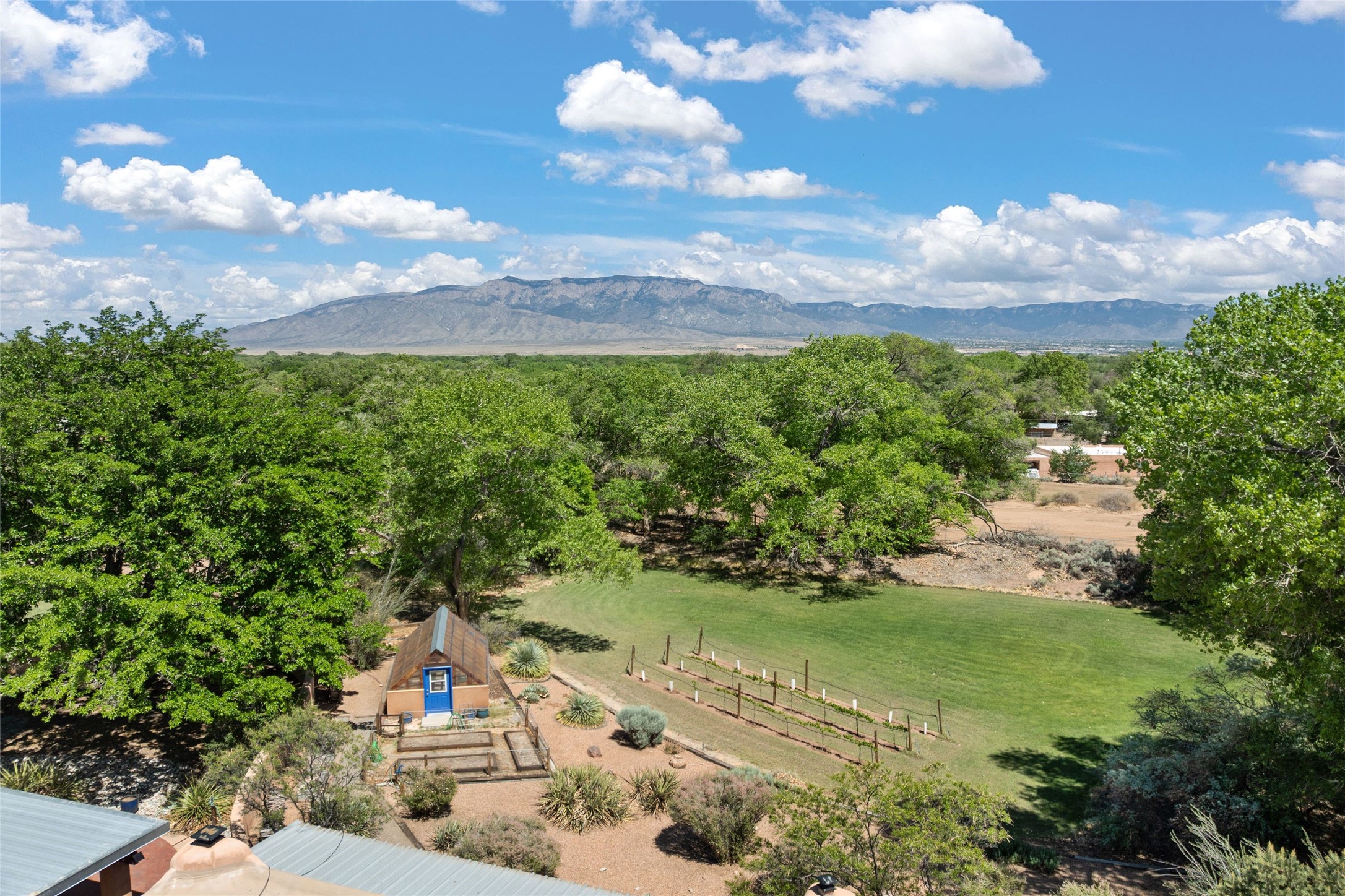 163 Camino Alto, Corrales, New Mexico image 44