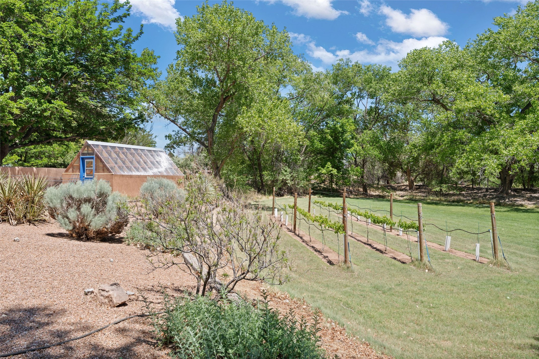 163 Camino Alto, Corrales, New Mexico image 43