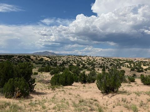 Vacant Land For Sale - LOT 3 Private Drive 1613b<br/> Medanales, NM 87548