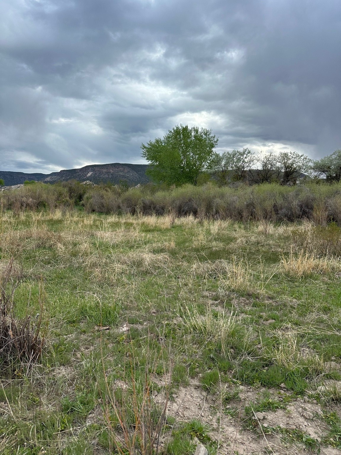 TBD In The Vicinity Of Barranco, Abiquiu, New Mexico image 1