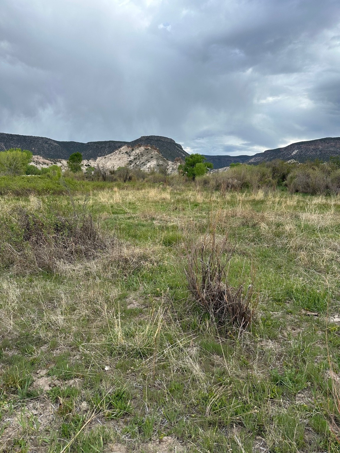 TBD In The Vicinity Of Barranco, Abiquiu, New Mexico image 10