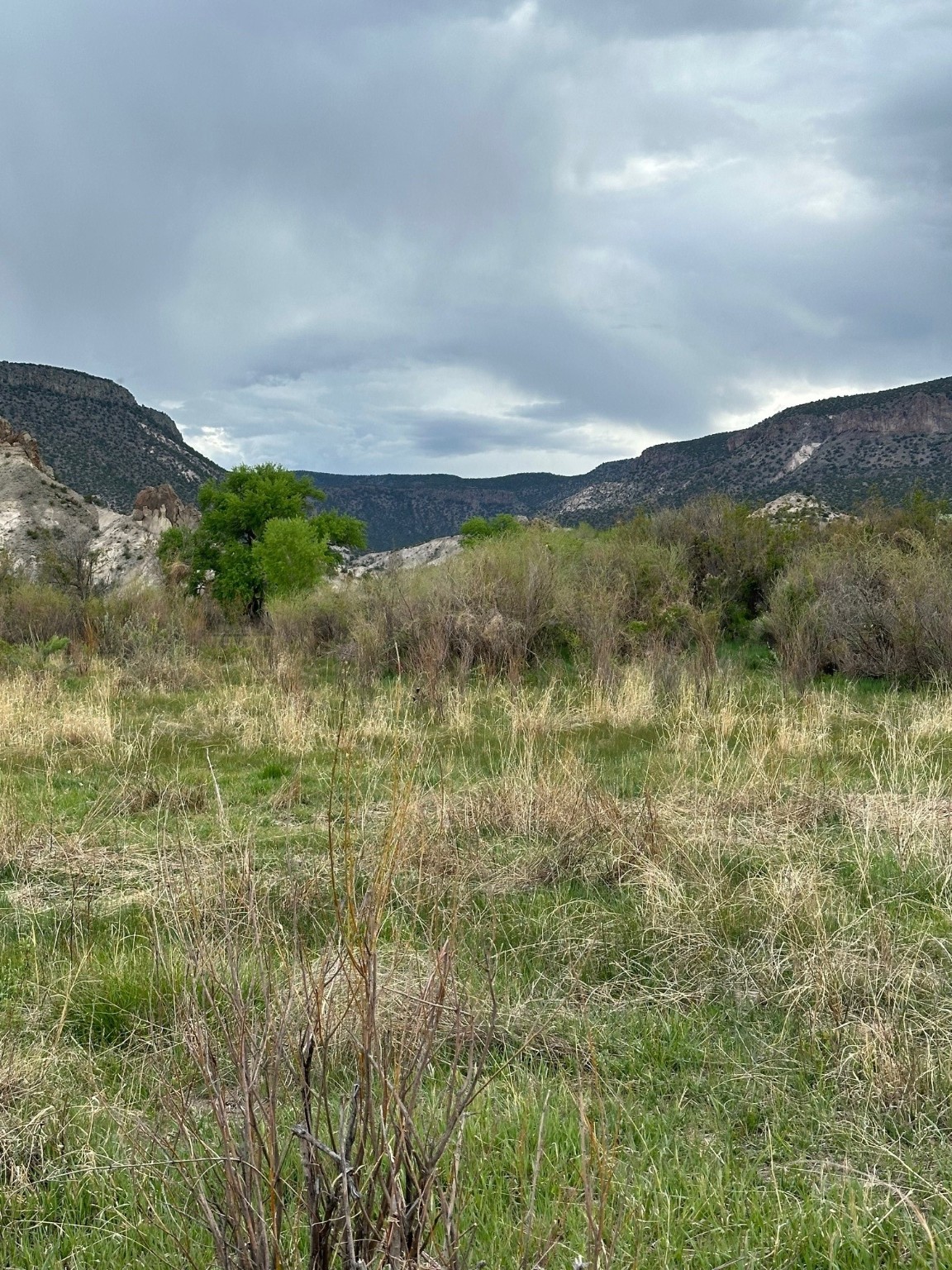 TBD In The Vicinity Of Barranco, Abiquiu, New Mexico image 12