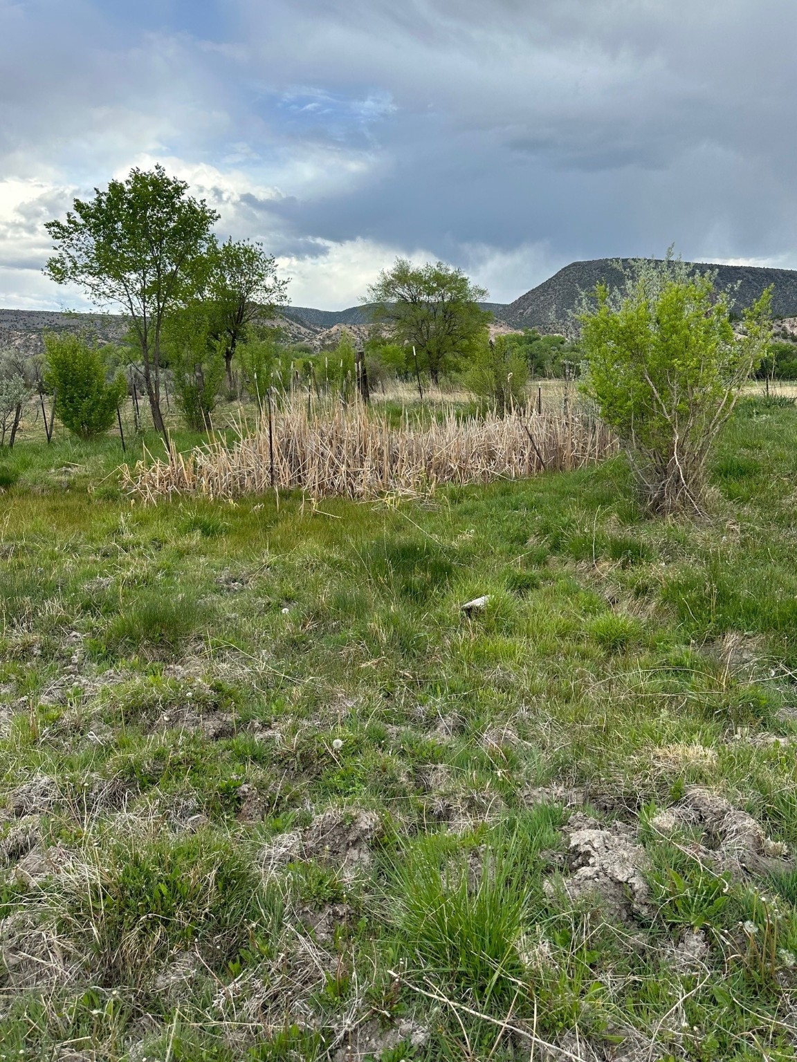 TBD In The Vicinity Of Barranco, Abiquiu, New Mexico image 18