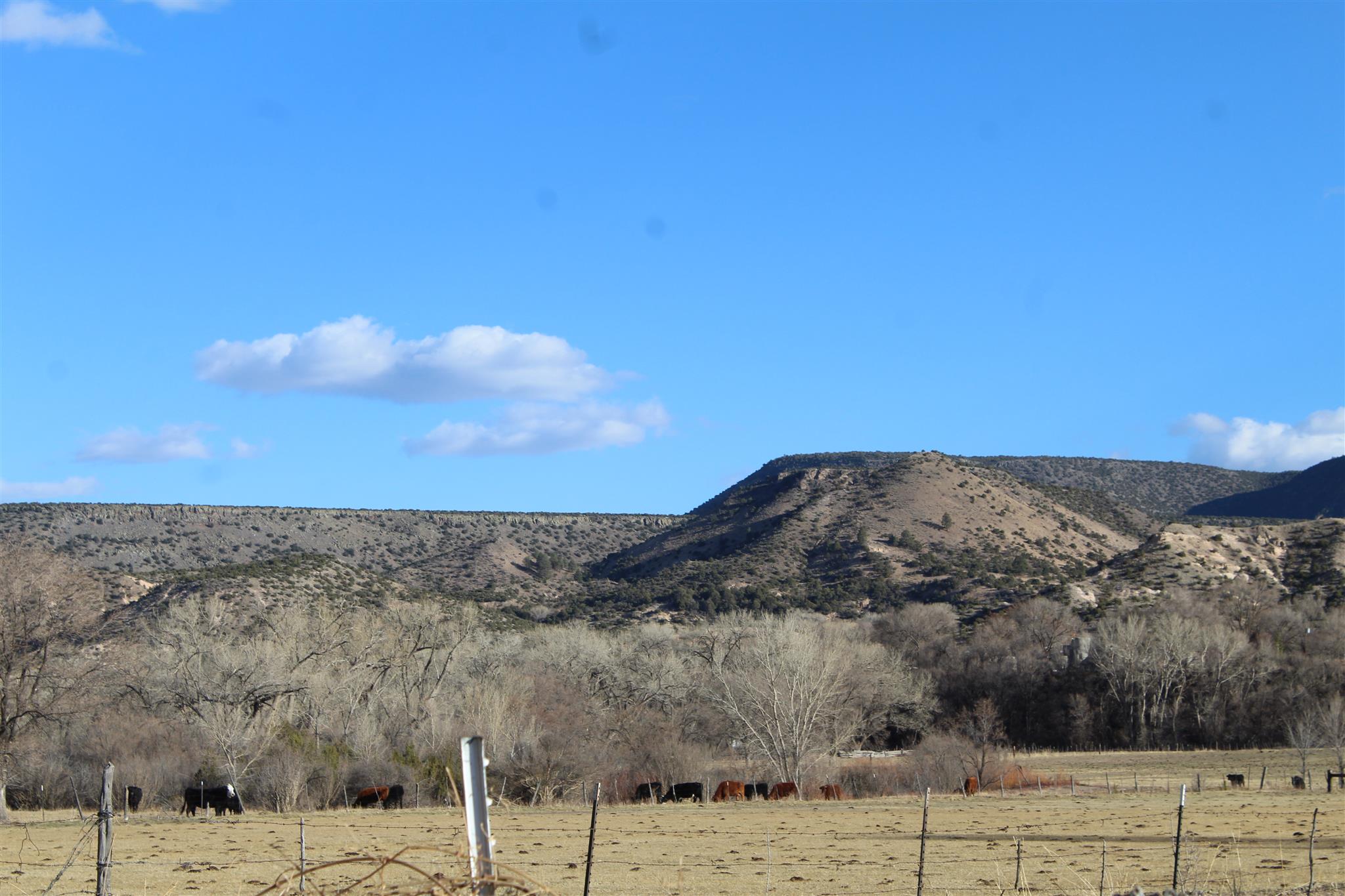 TBD In The Vicinity Of Barranco, Abiquiu, New Mexico image 7