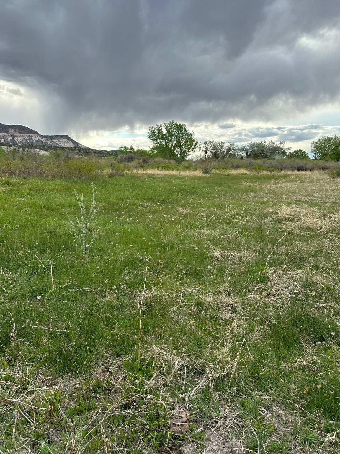 TBD In The Vicinity Of Barranco, Abiquiu, New Mexico image 19