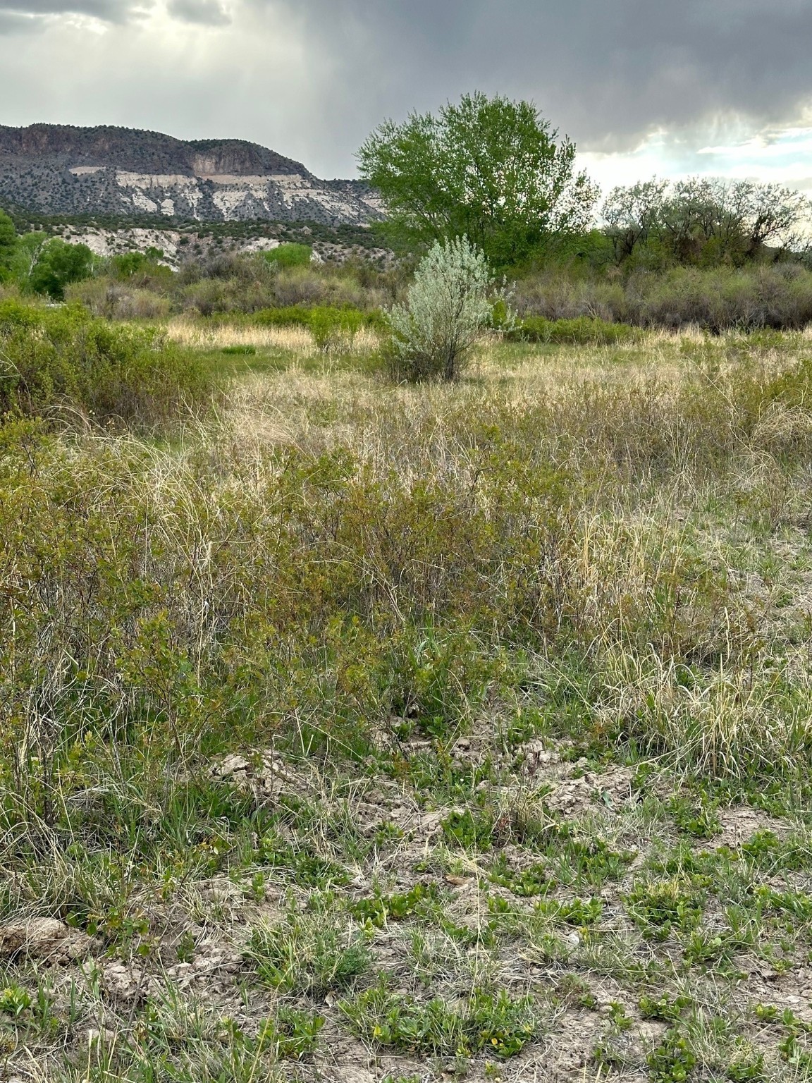 TBD In The Vicinity Of Barranco, Abiquiu, New Mexico image 15