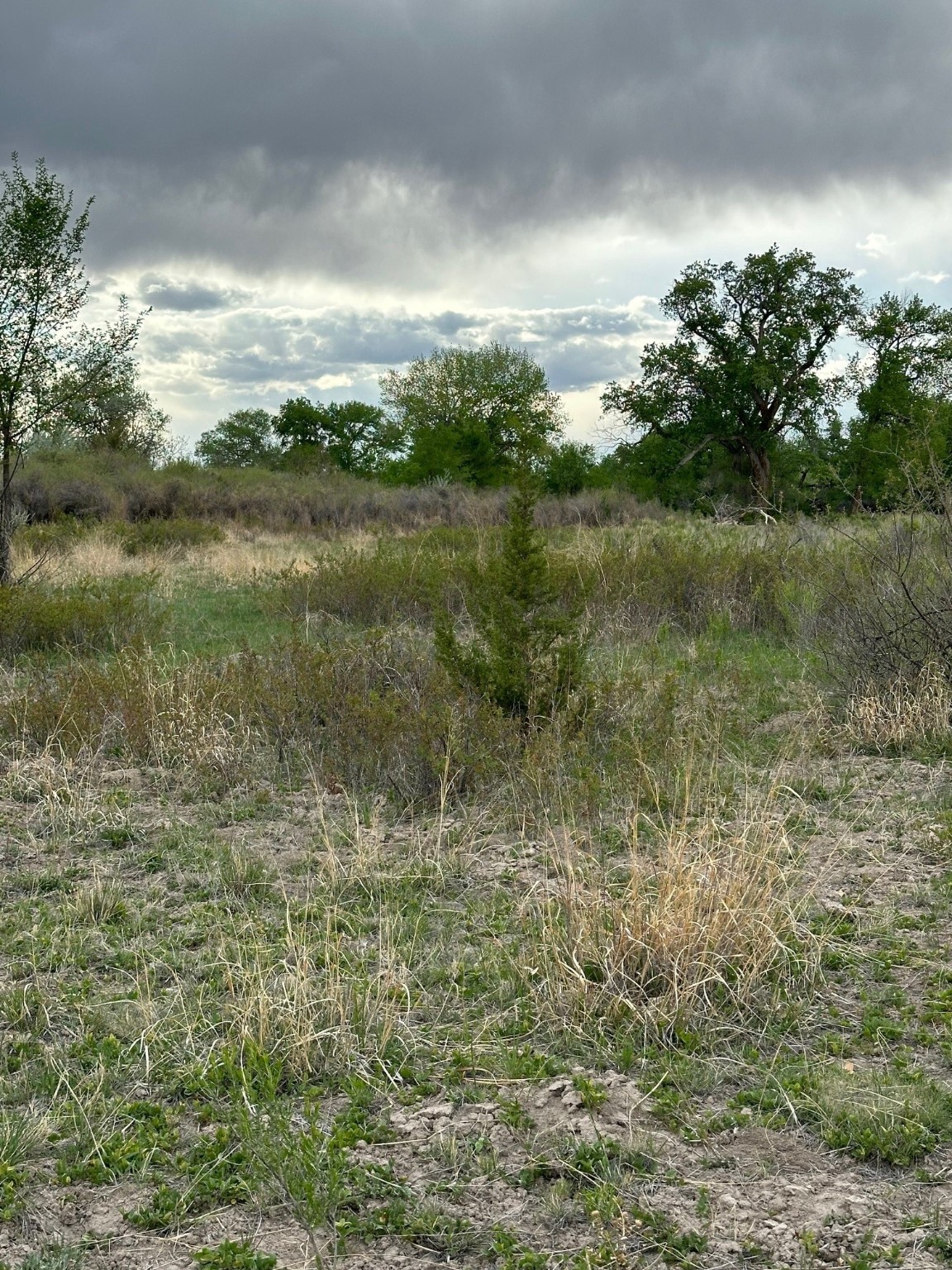 TBD In The Vicinity Of Barranco, Abiquiu, New Mexico image 16