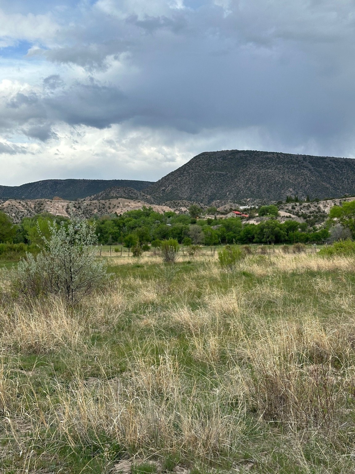 TBD In The Vicinity Of Barranco, Abiquiu, New Mexico image 13