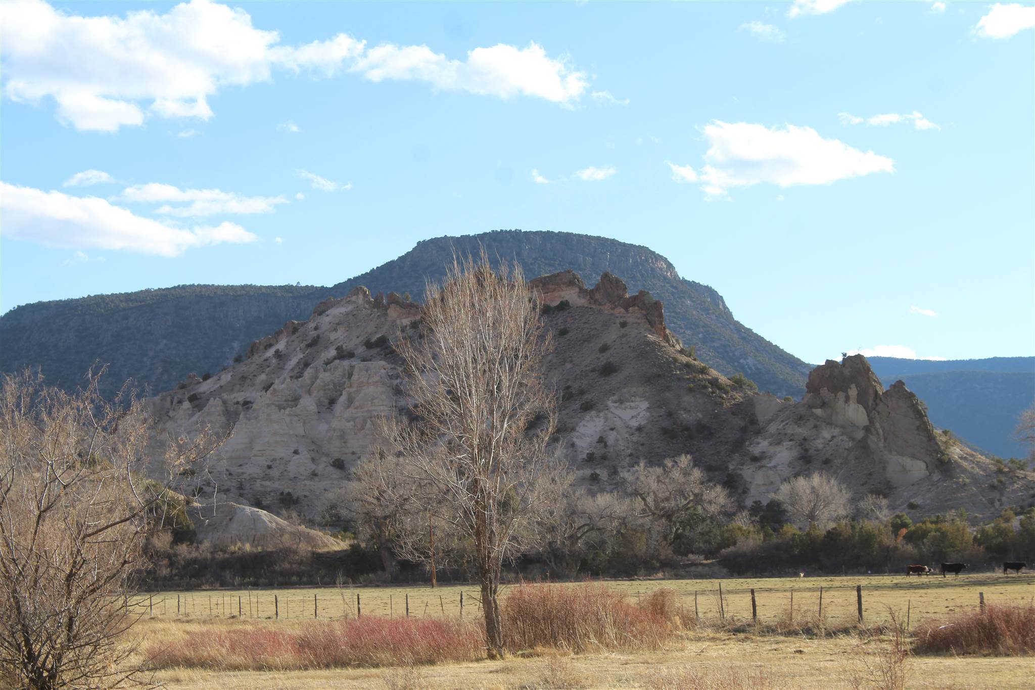 TBD In The Vicinity Of Barranco, Abiquiu, New Mexico image 6