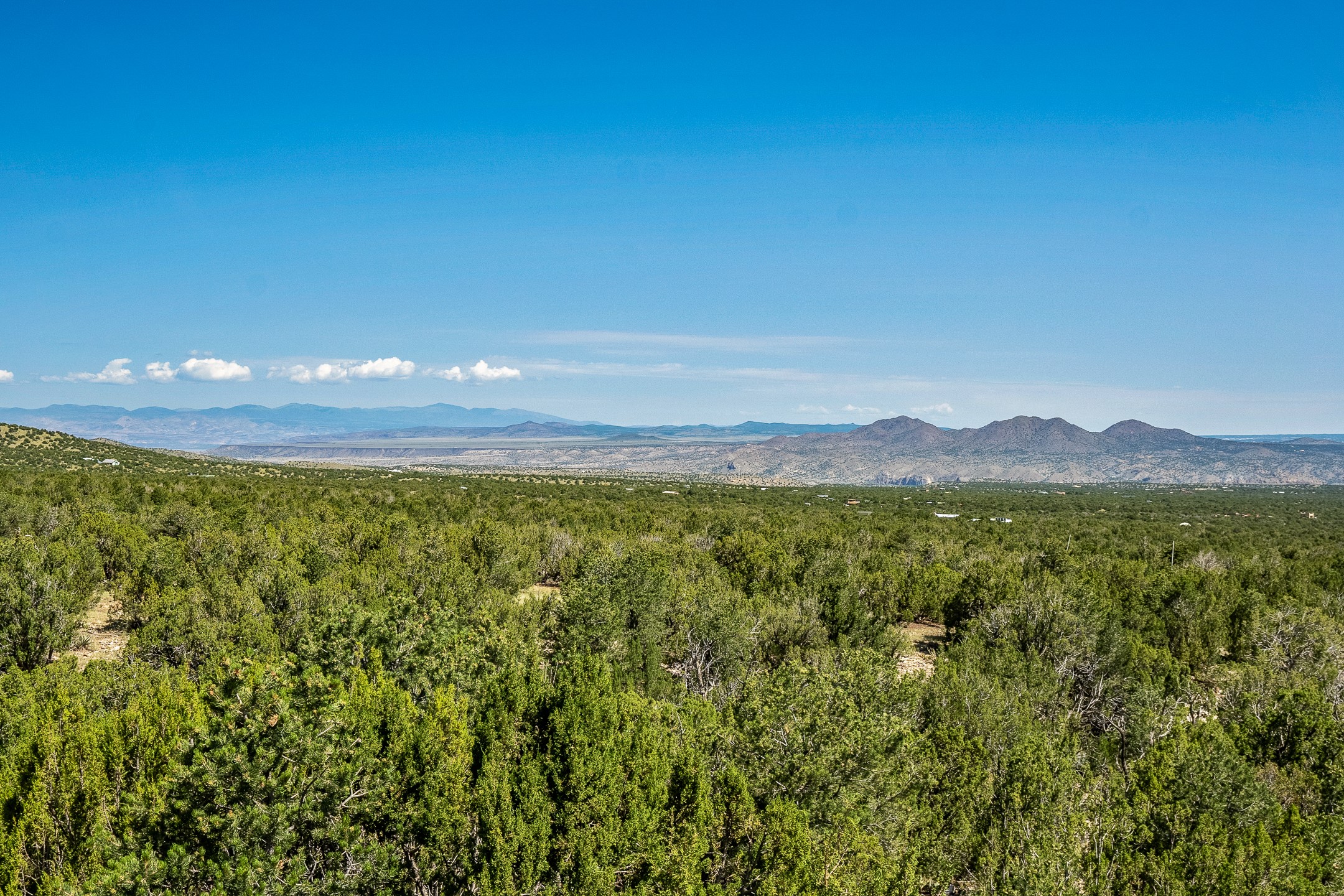 63 Corazon De Oro, Cerrillos, New Mexico image 42