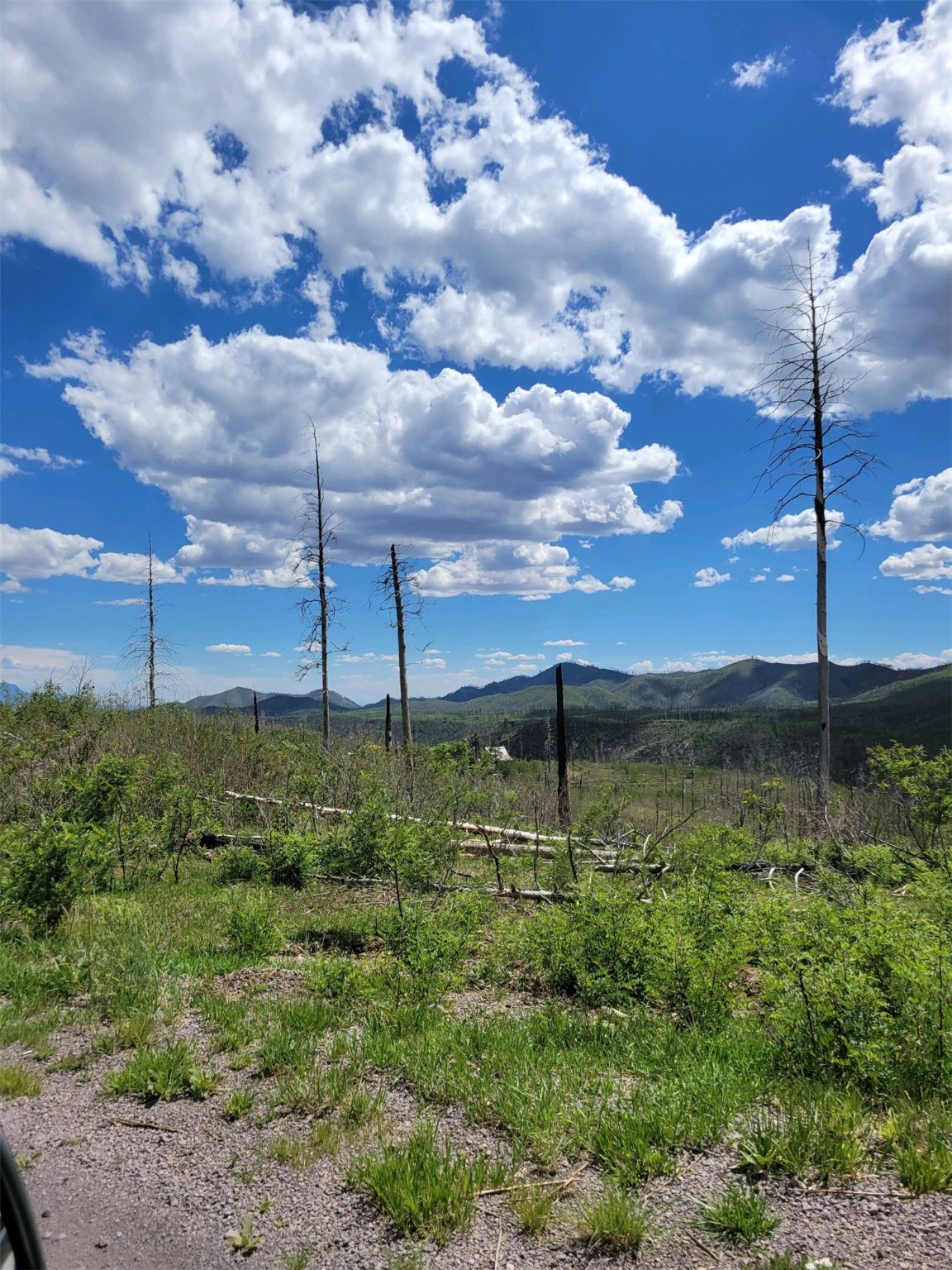 14 Wapiti Way, Jemez Springs, New Mexico image 2