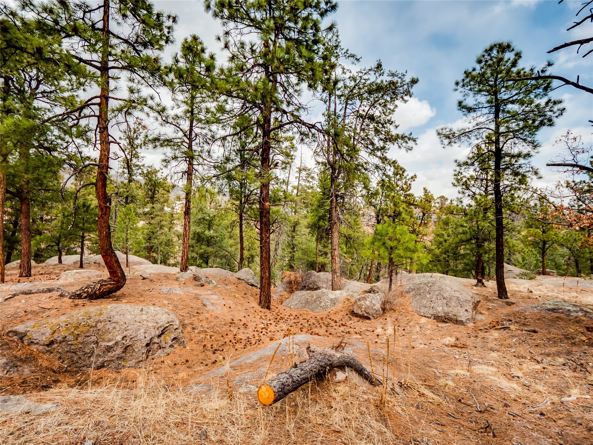 3406 Orange Street #B, Los Alamos, New Mexico image 48