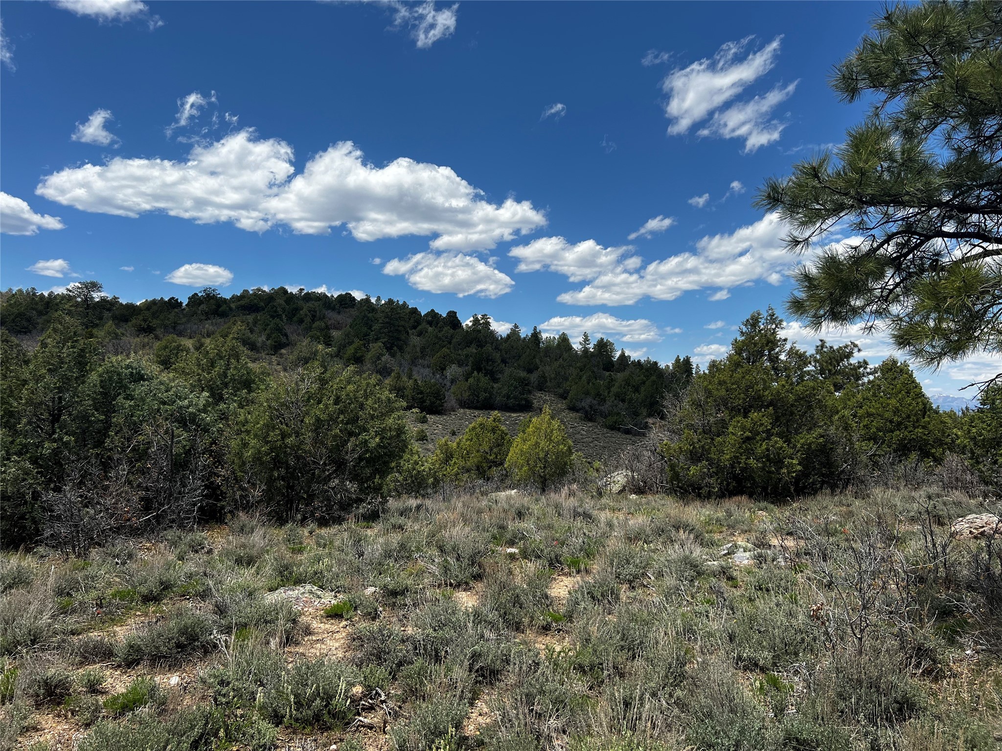 32 Resolana Circle Cir, Tierra Amarilla, New Mexico image 18