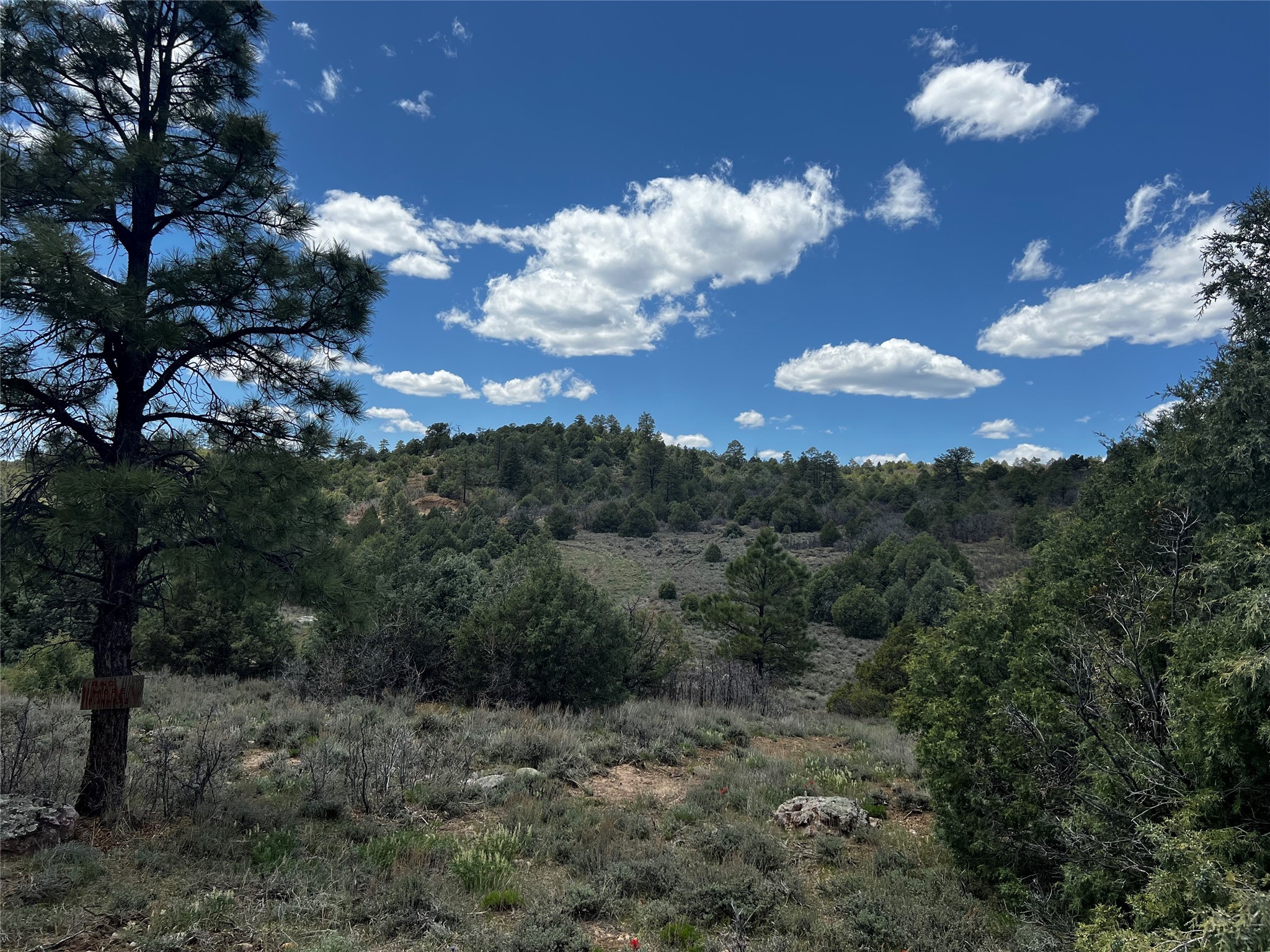 32 Resolana Circle Cir, Tierra Amarilla, New Mexico image 15