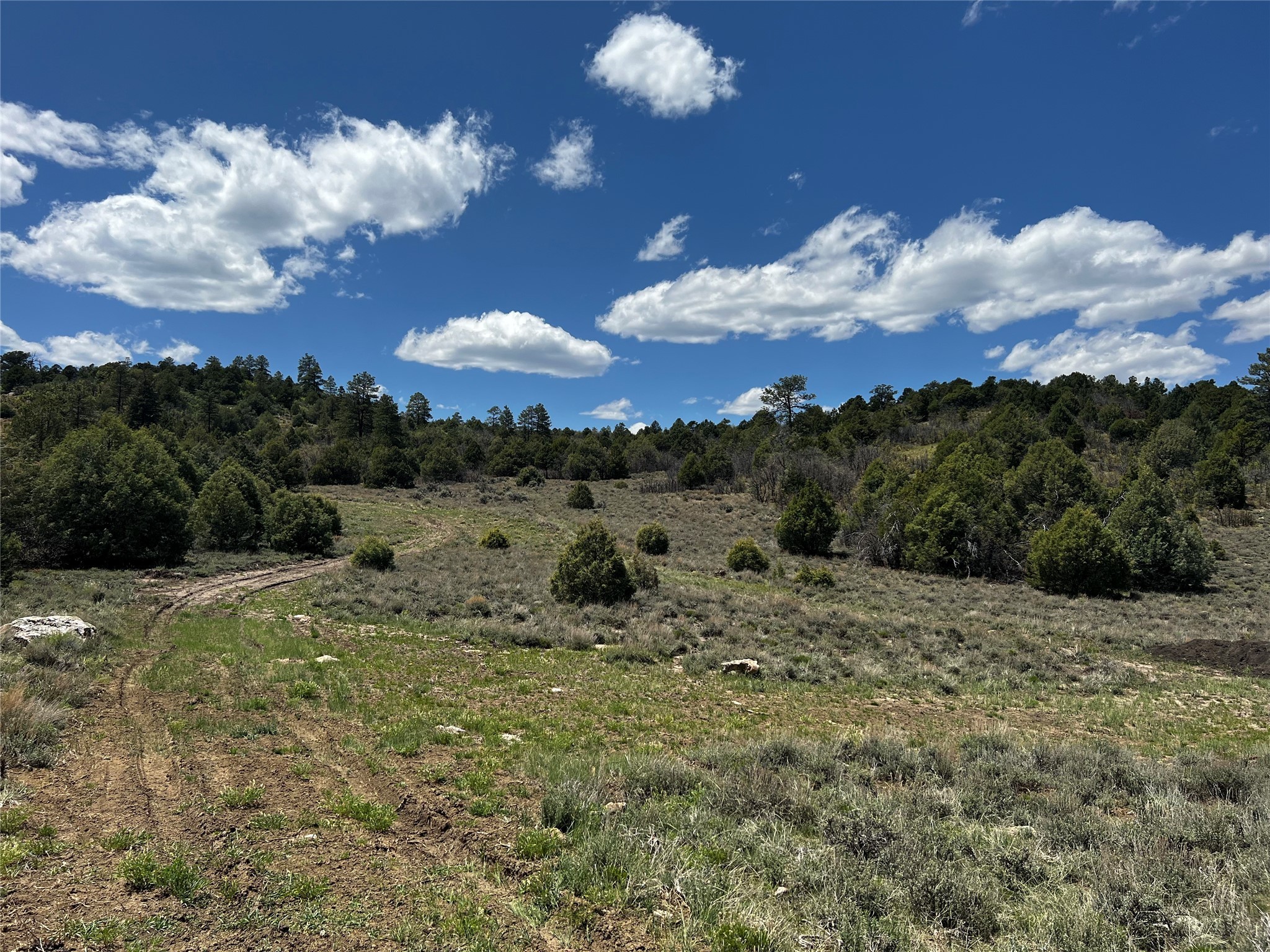 32 Resolana Circle Cir, Tierra Amarilla, New Mexico image 21