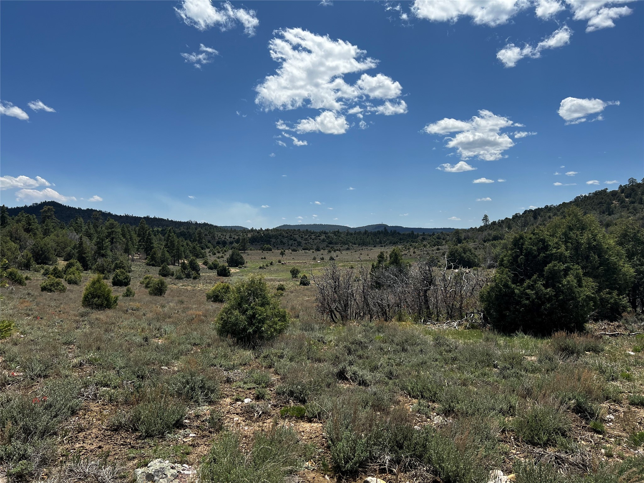 32 Resolana Circle Cir, Tierra Amarilla, New Mexico image 17