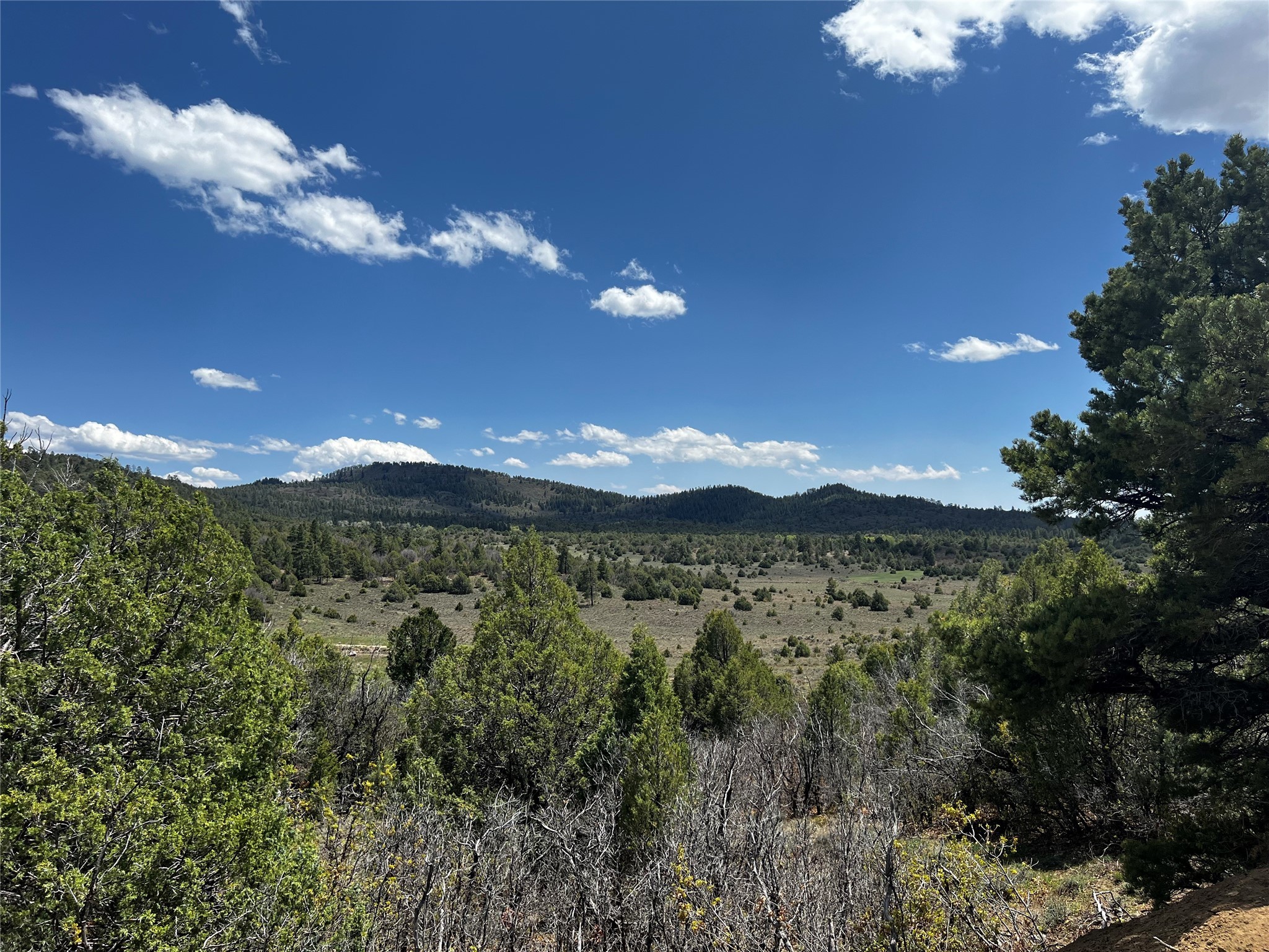 32 Resolana Circle Cir, Tierra Amarilla, New Mexico image 27