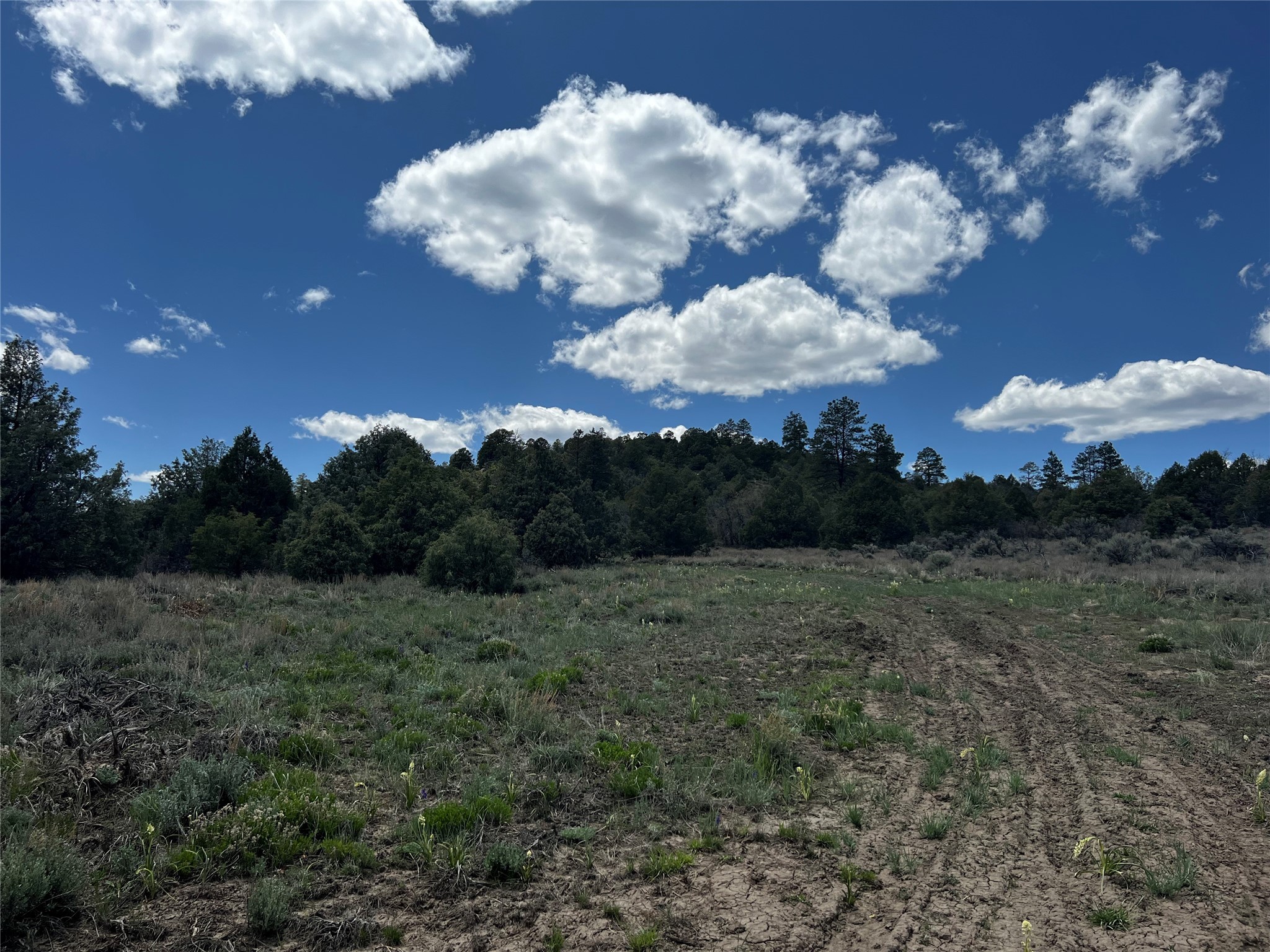 32 Resolana Circle Cir, Tierra Amarilla, New Mexico image 20