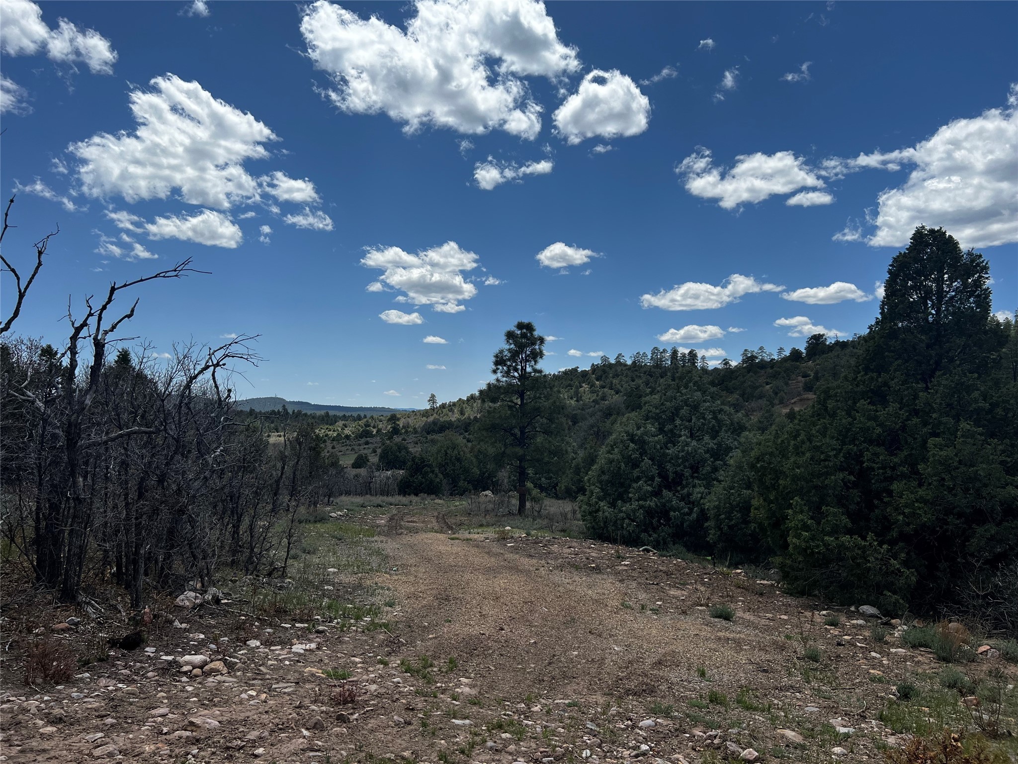 32 Resolana Circle Cir, Tierra Amarilla, New Mexico image 16