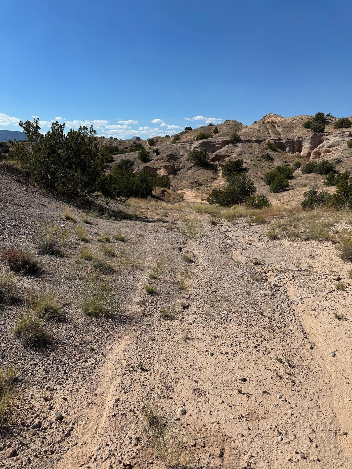 TBD Green Meadows Drive, Medanales, New Mexico image 15