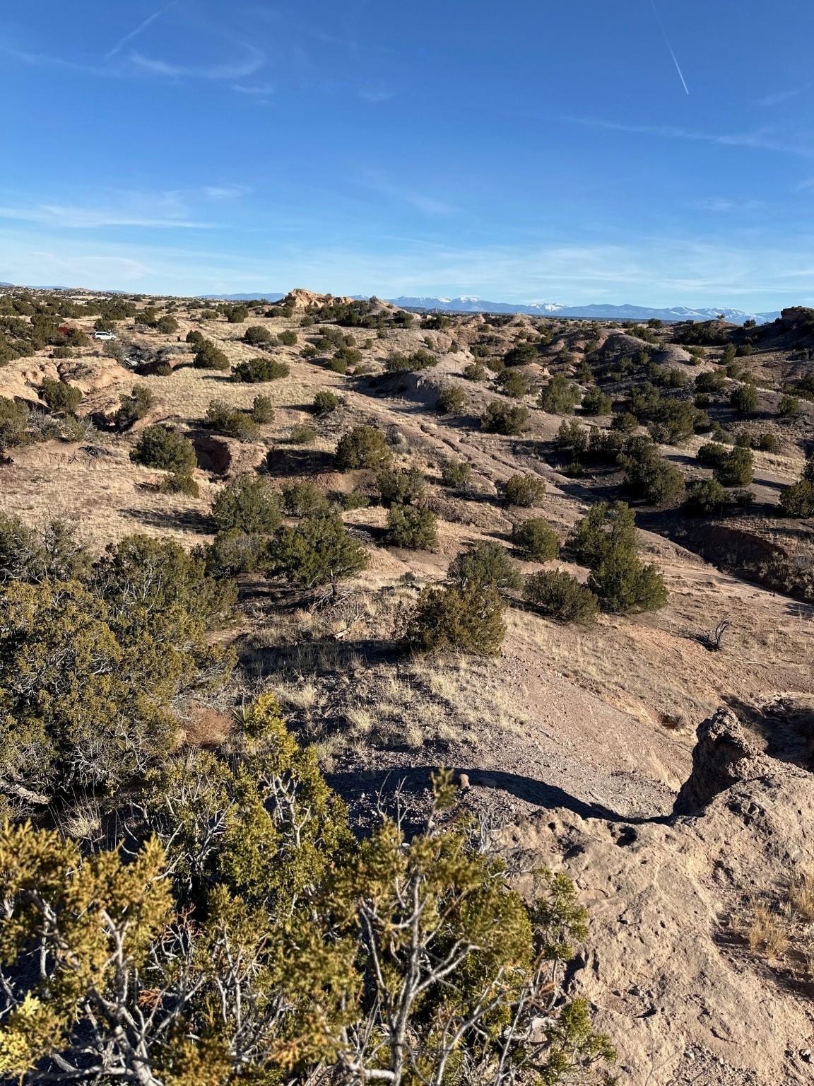 TBD Green Meadows Drive, Medanales, New Mexico image 6