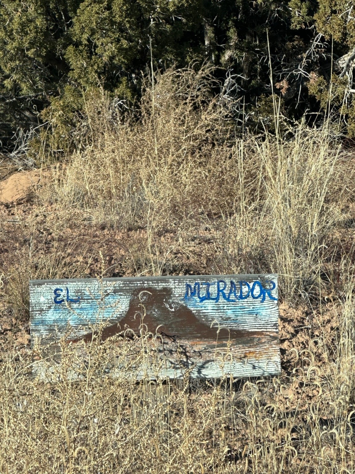 TBD Green Meadows Drive, Medanales, New Mexico image 14