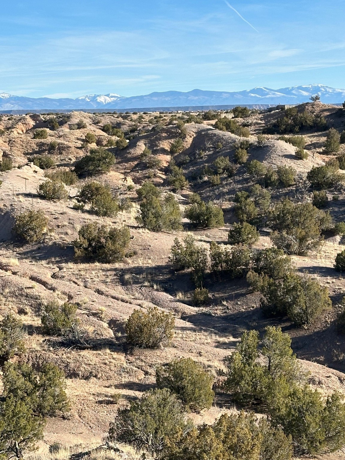 TBD Green Meadows Drive, Medanales, New Mexico image 10