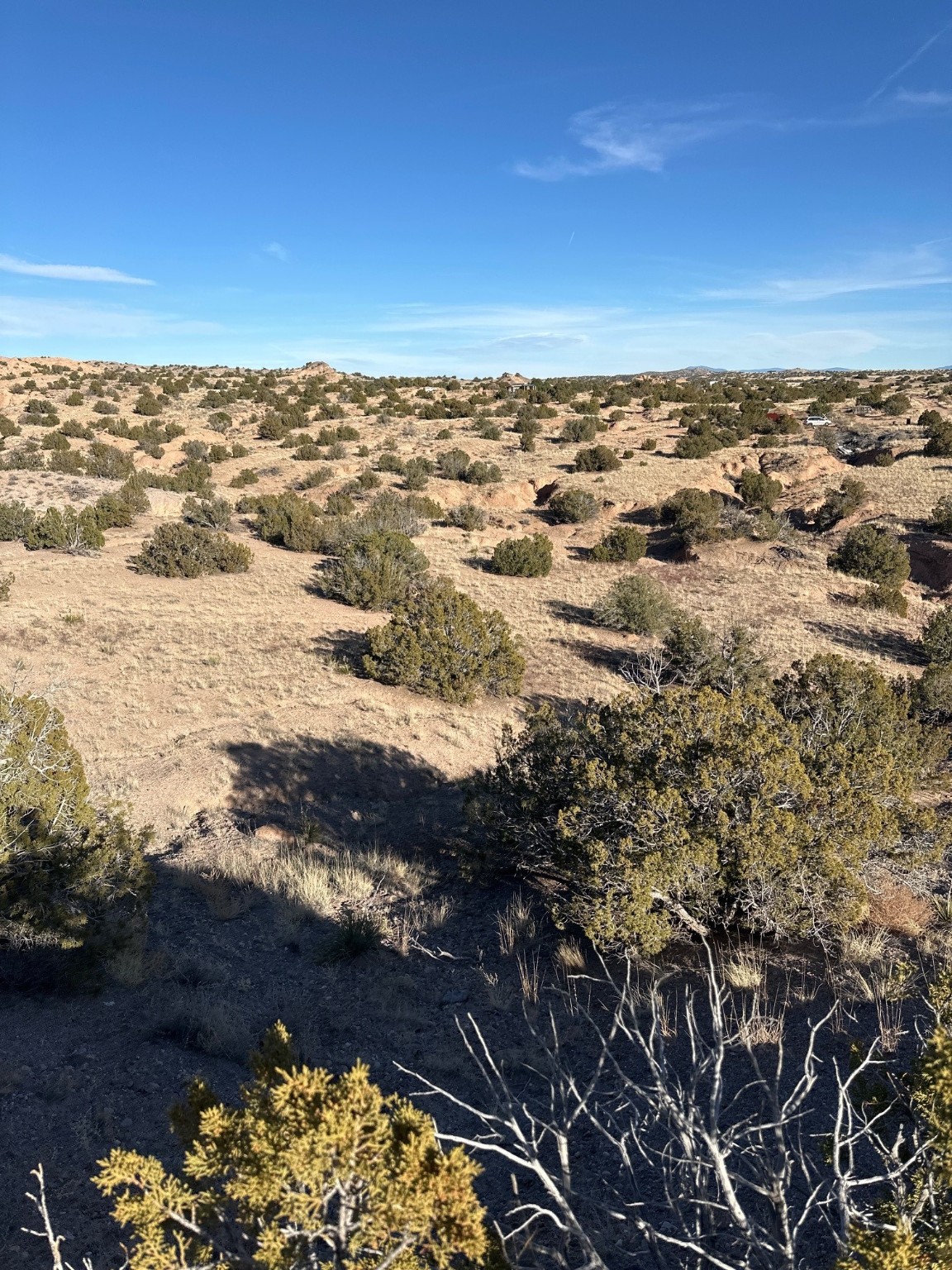 TBD Green Meadows Drive, Medanales, New Mexico image 7