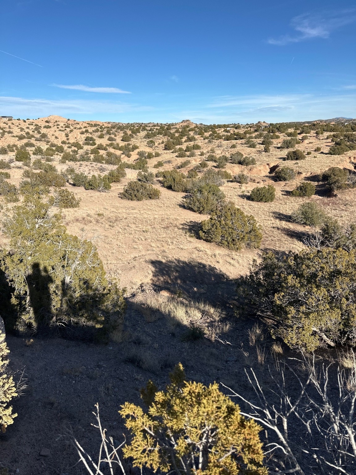 TBD Green Meadows Drive, Medanales, New Mexico image 8