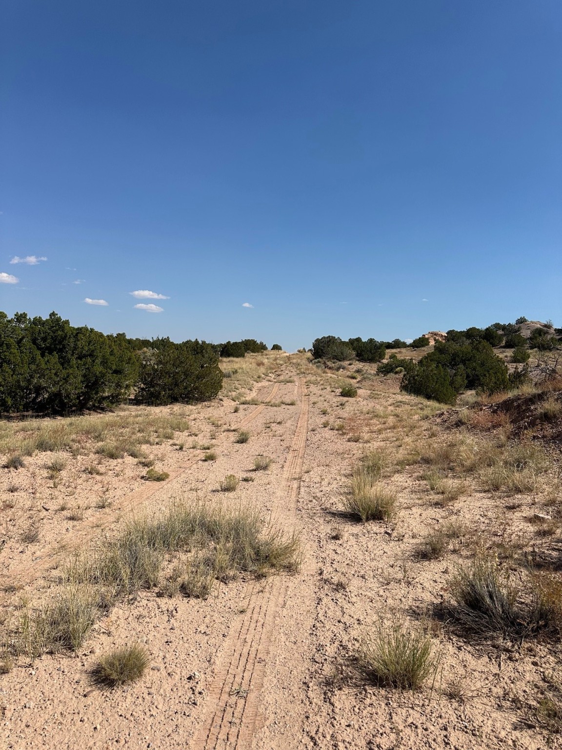 TBD Green Meadows Drive, Medanales, New Mexico image 22