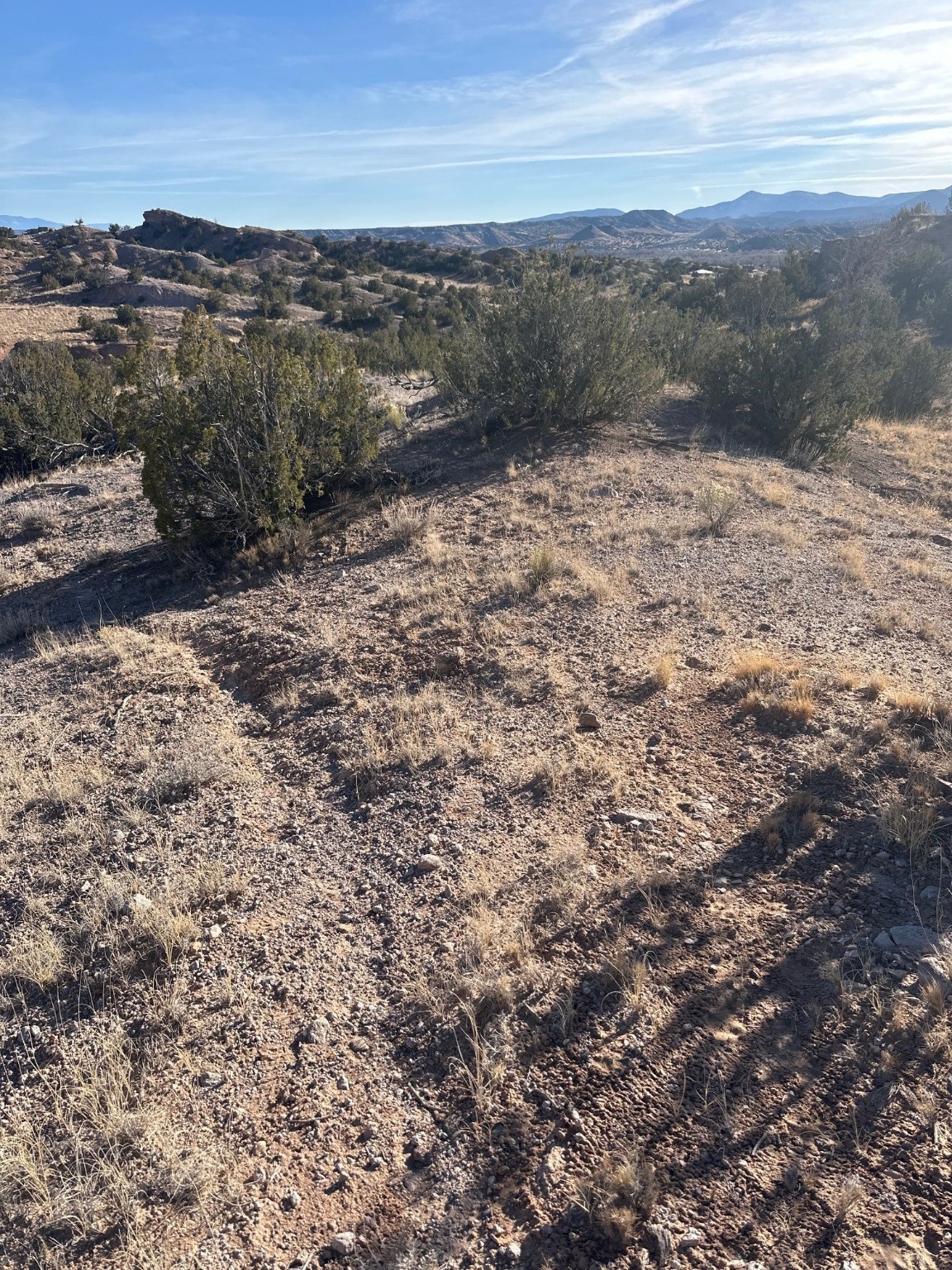 TBD Green Meadows Drive, Medanales, New Mexico image 4