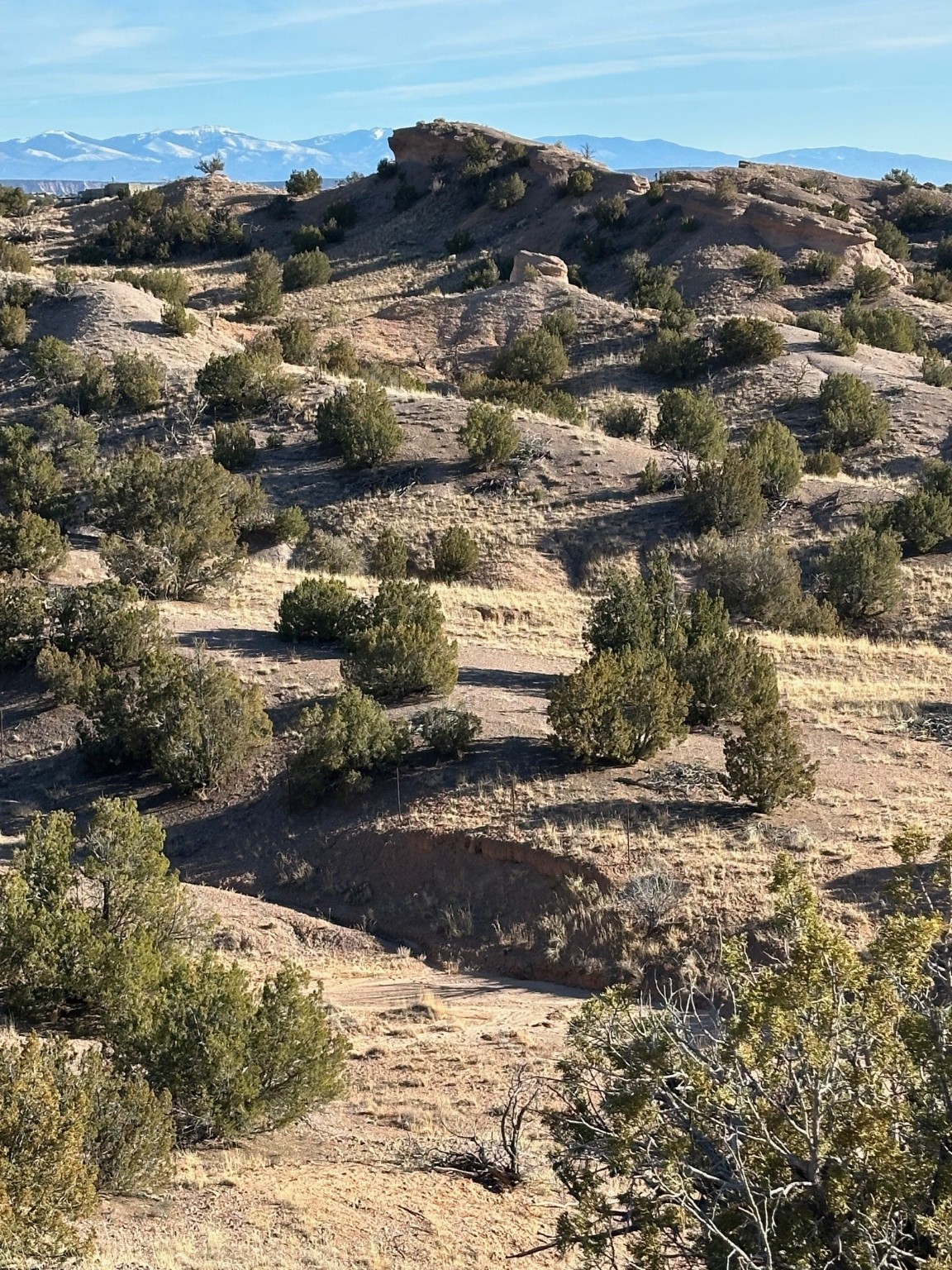 TBD Green Meadows Drive, Medanales, New Mexico image 11