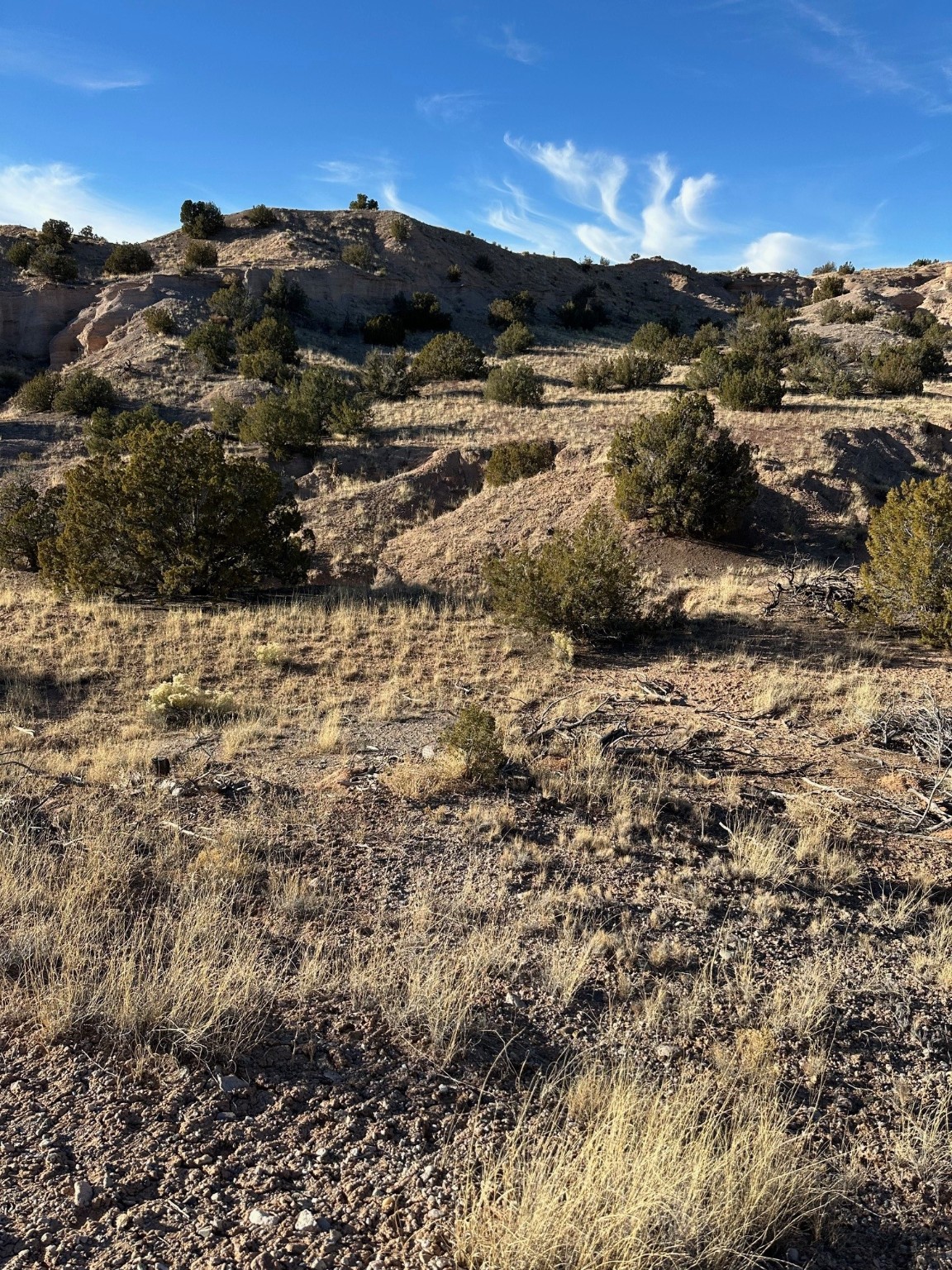 TBD Green Meadows Drive, Medanales, New Mexico image 17