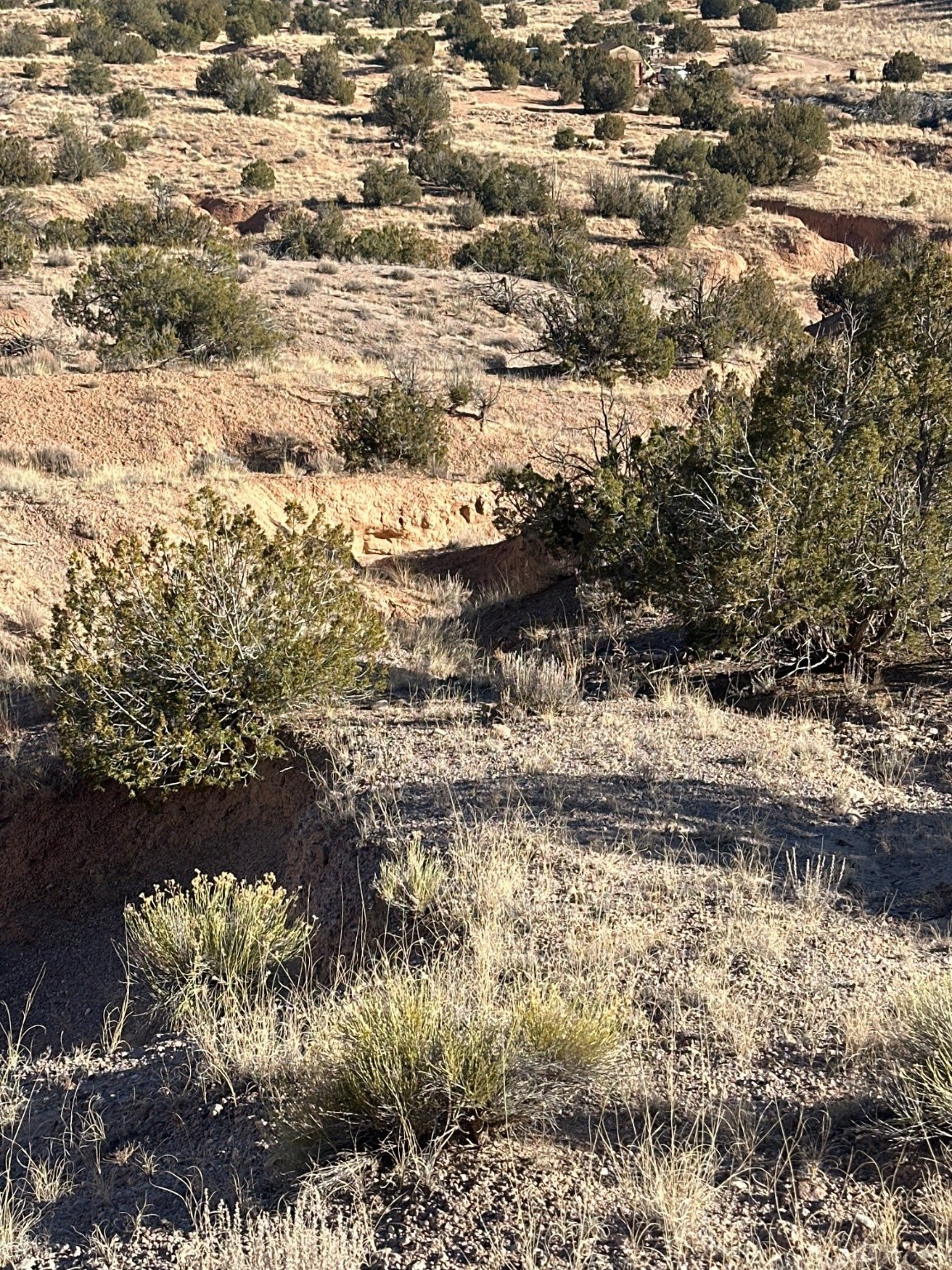 TBD Green Meadows Drive, Medanales, New Mexico image 3