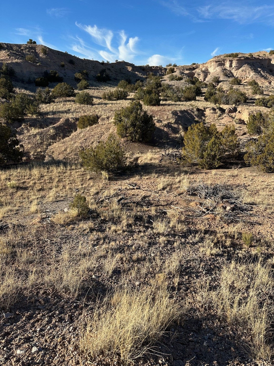 TBD Green Meadows Drive, Medanales, New Mexico image 18