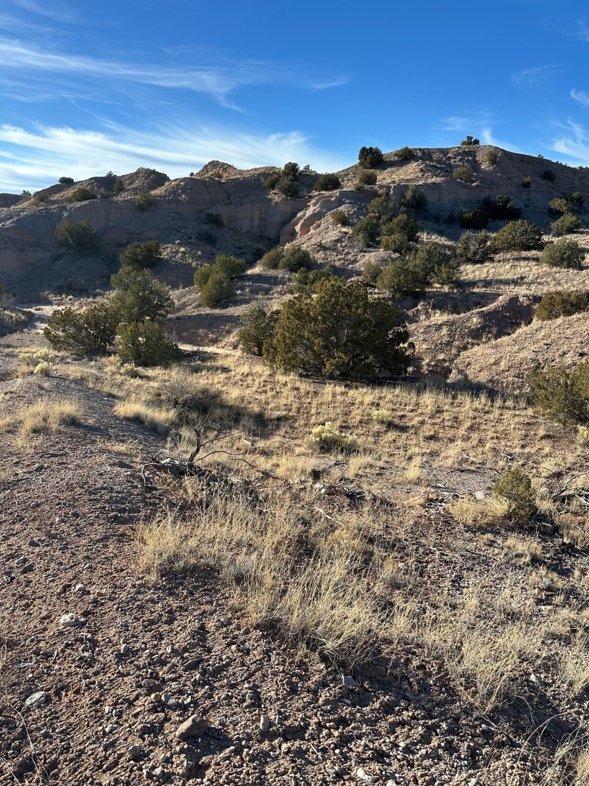 TBD Green Meadows Drive, Medanales, New Mexico image 16