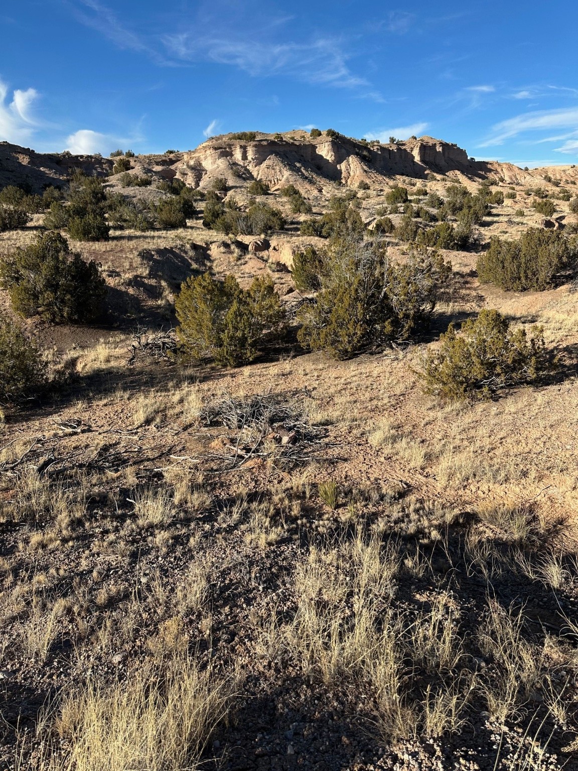 TBD Green Meadows Drive, Medanales, New Mexico image 19