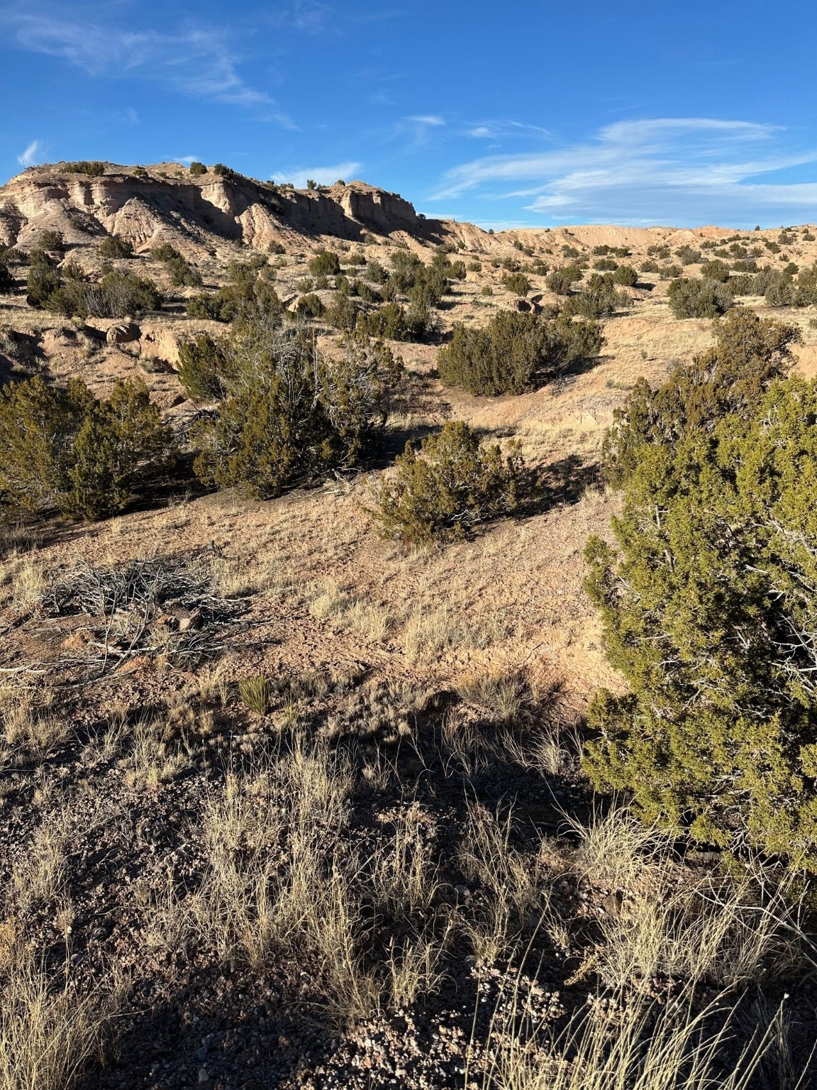 TBD Green Meadows Drive, Medanales, New Mexico image 20