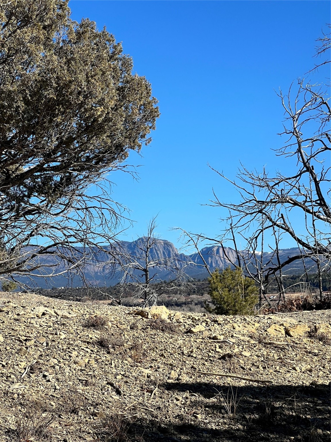 Willow Creek, Los Ojos, New Mexico image 3