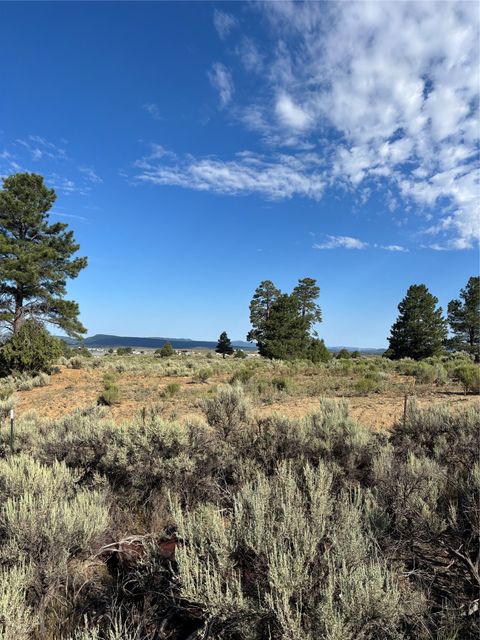 Vacant Land For Sale - TBD Hwy 573<br/> Rio Arriba County, Tierra Amarilla, NM 87575