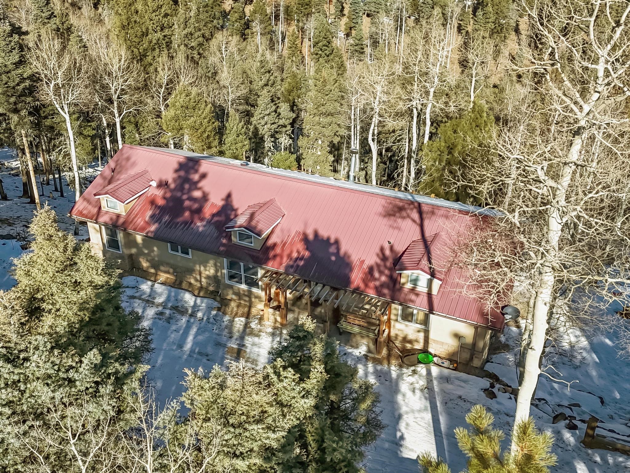 55 Sierra Blanca Circle, Angel Fire, New Mexico image 6