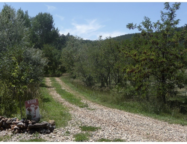 357 Cr C004, Ocate, New Mexico image 12